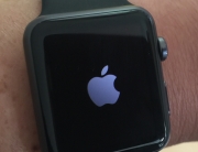 Apple Watch early review setup